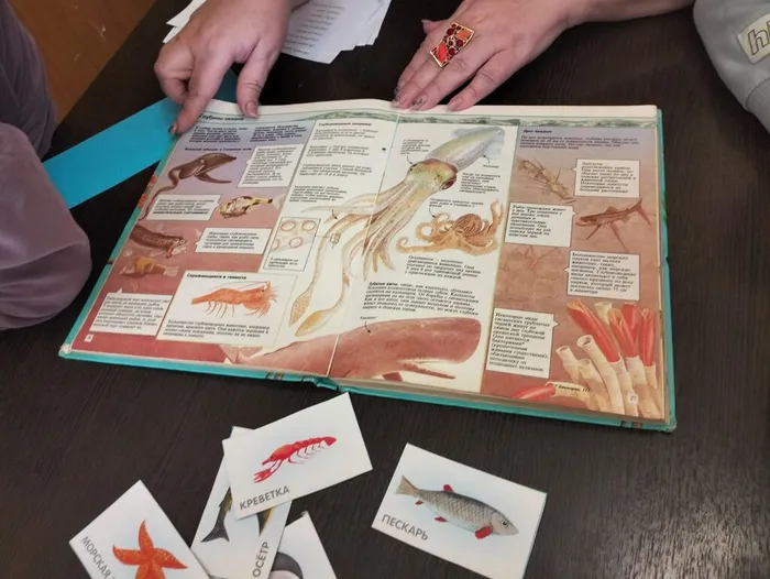 8ade8bb8-3c8a-430a-8cb9-d78c93636d44