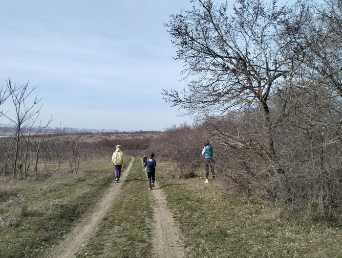 photo_5380023627682016307_y