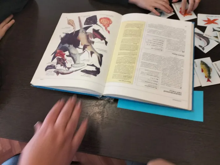 ff36b053-2dd5-43c3-a7f6-8811571708e5