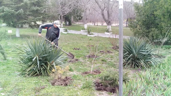 PHOTO-2022-04-08-09-19-10 (1).jpg