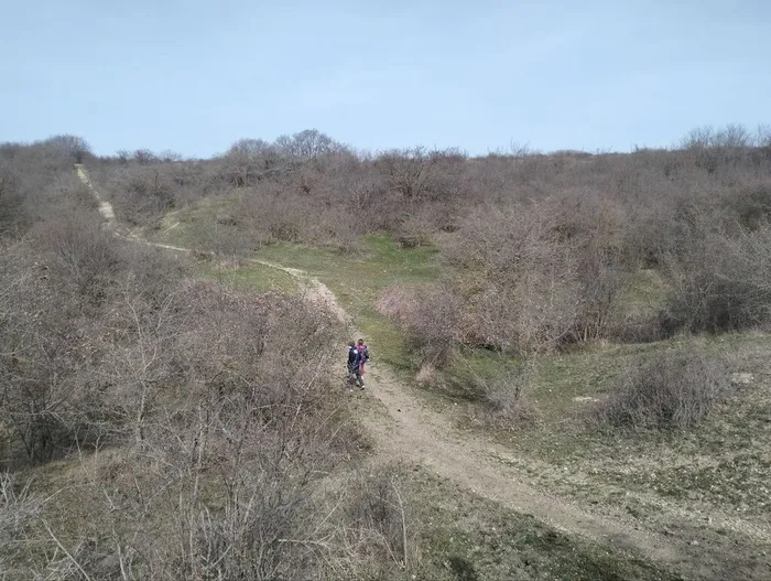 photo_5380023627682016304_y