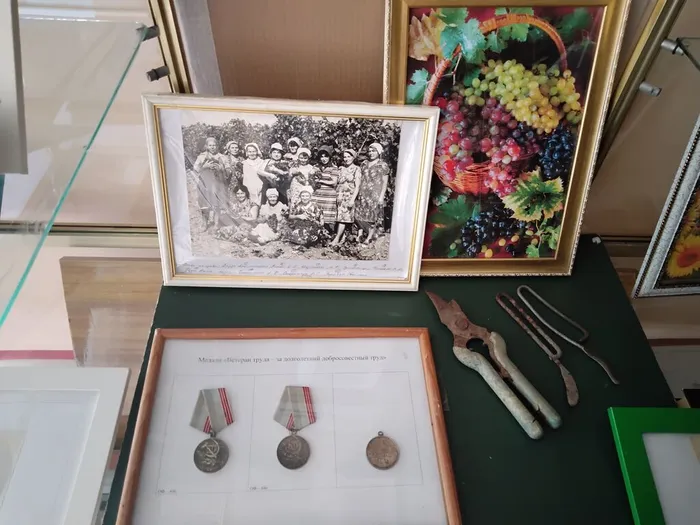 IMG_20251001_170024_124