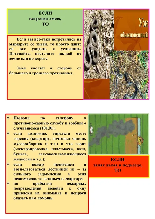 02e19d1f-9e10-4b0e-8c45-94989f7169f5_page-0005