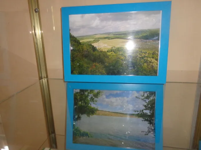DSC00296