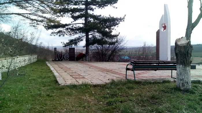 PHOTO-2022-04-08-09-19-08 (3).jpg