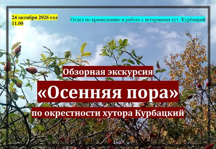 афиша