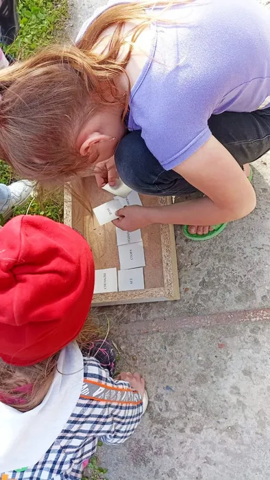 1b4b6907-8f82-4b93-bb73-2a6205fcce2f