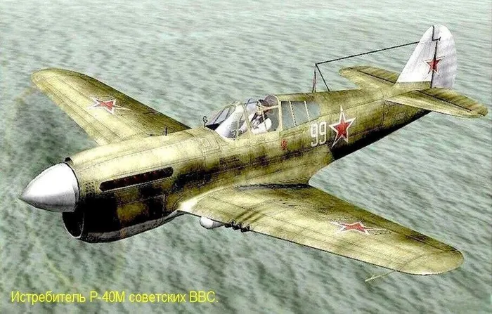 p40m2