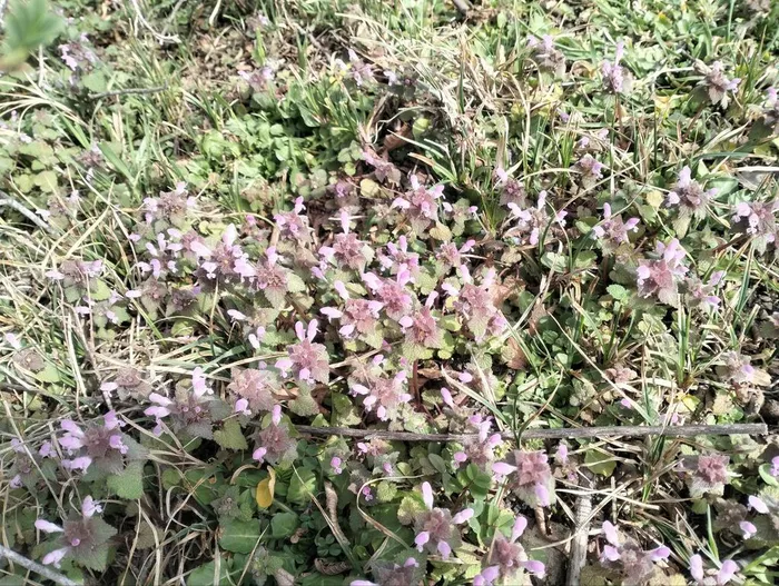 photo_5380023627682016310_y