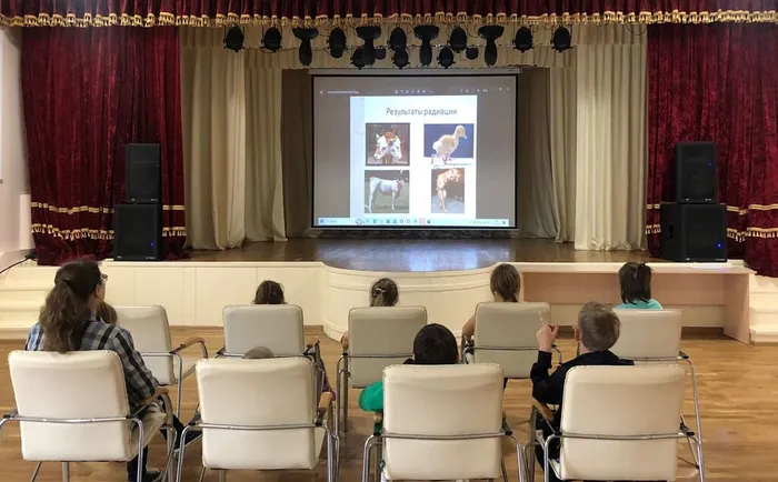 17781ccb-1943-4e2a-8335-17d3dc53247f