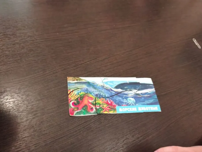 2b0c17ff-d806-4694-80ea-9433ab40e303