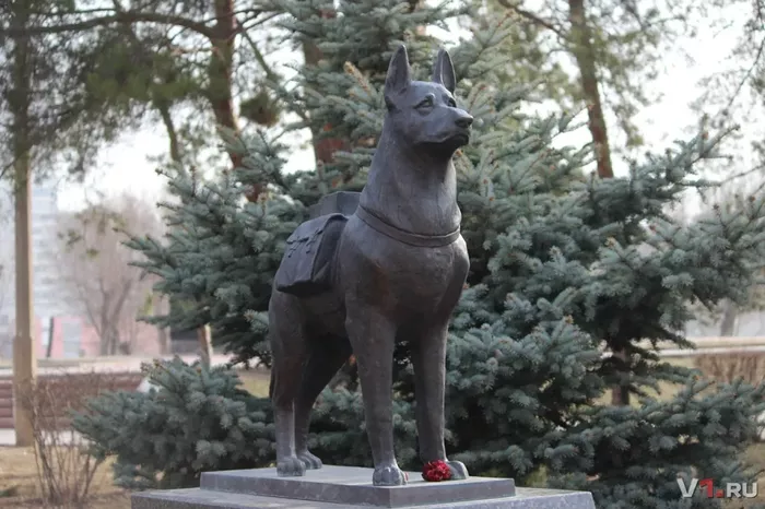 Памятник собакам – истребителям танков
