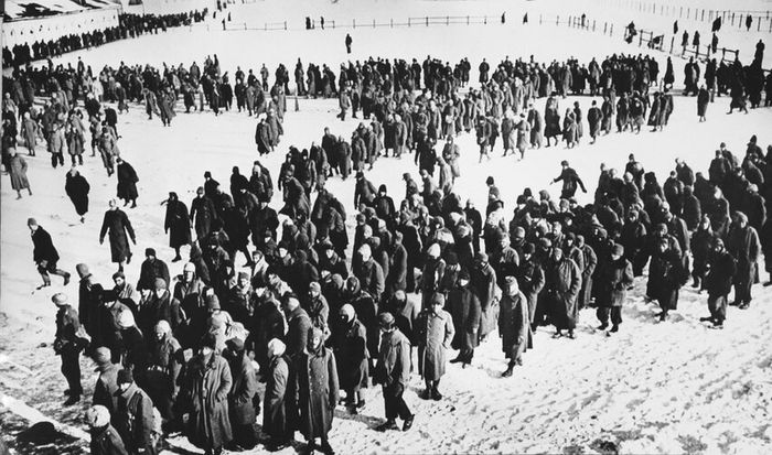 Немецкие пленные в районе Сталинграда. Январь 1943 г.