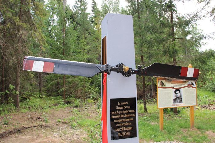 Новая памятная стела, установленная в 2016 году на месте, где был найден тяжело раненный летчик А.П. Маресьев