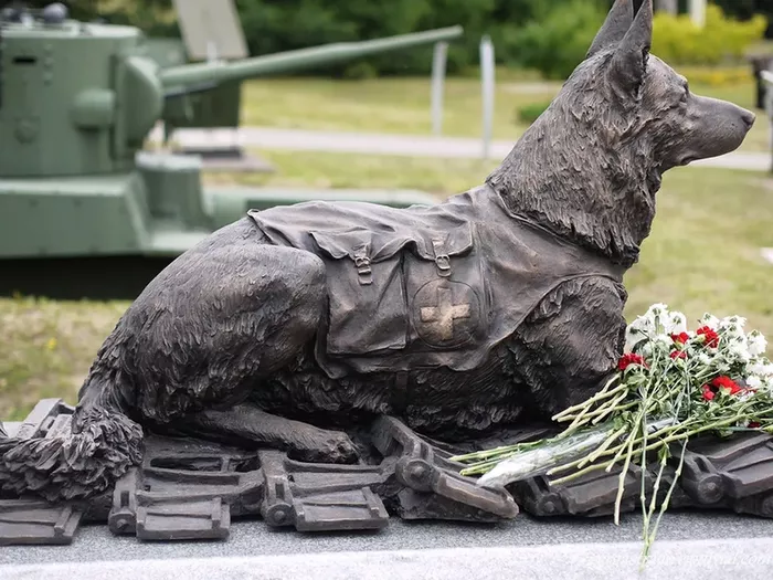 1а 21 июня 2013 г., накануне Дня памяти и скорби, в Москве, на Поклонной горе, был открыт памятник Фронтовой Собаке…