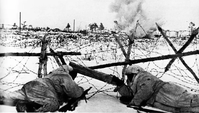 Саперы Волховского фронта делают проходы в проволочном заграждении в районе Синявино, 12 января 1943